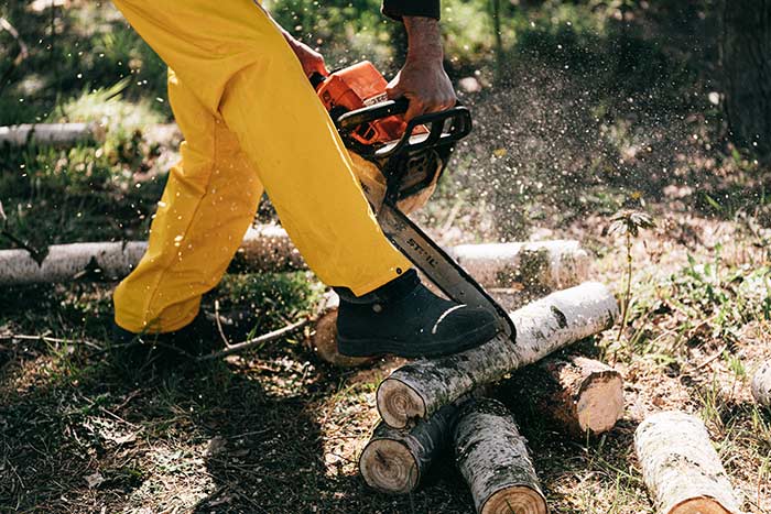 Electric Saw Stihl