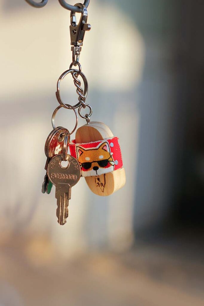 Key Hanger Habit to not forget keys